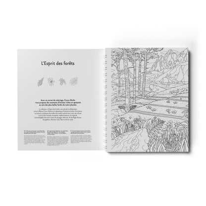 L'ESPRIT DES FORÊTS FSC™ BOYAMA DEFTERİ